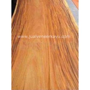 Veneer Kayu Trembesi Murah