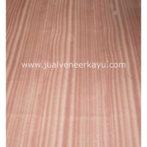 Wood Veneer Kayu Mahogany