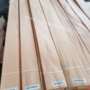 Jual Veneer Beech Harga Murah