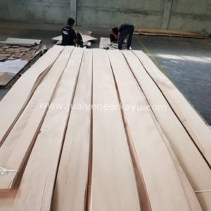 Veneer White Ask Murah